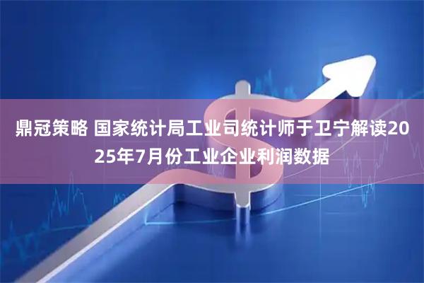 鼎冠策略 国家统计局工业司统计师于卫宁解读2025年7月份工业企业利润数据
