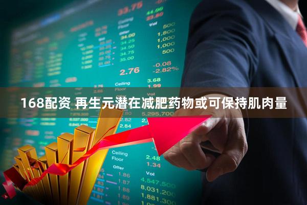 168配资 再生元潜在减肥药物或可保持肌肉量