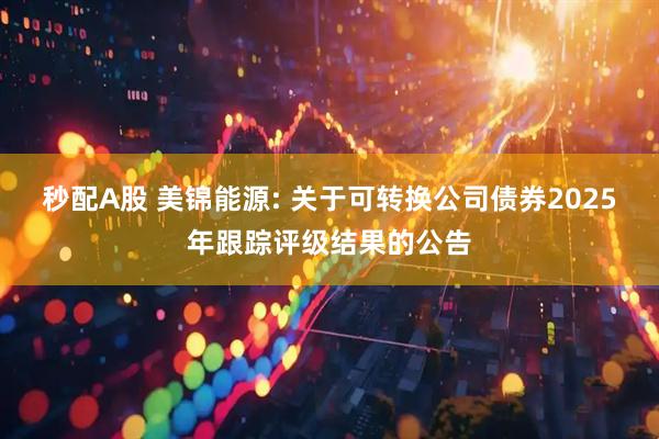 秒配A股 美锦能源: 关于可转换公司债券2025年跟踪评级结果的公告