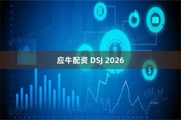 应牛配资 DSJ 2026