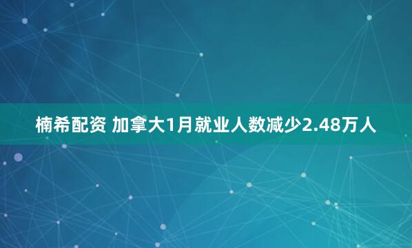 楠希配资 加拿大1月就业人数减少2.48万人